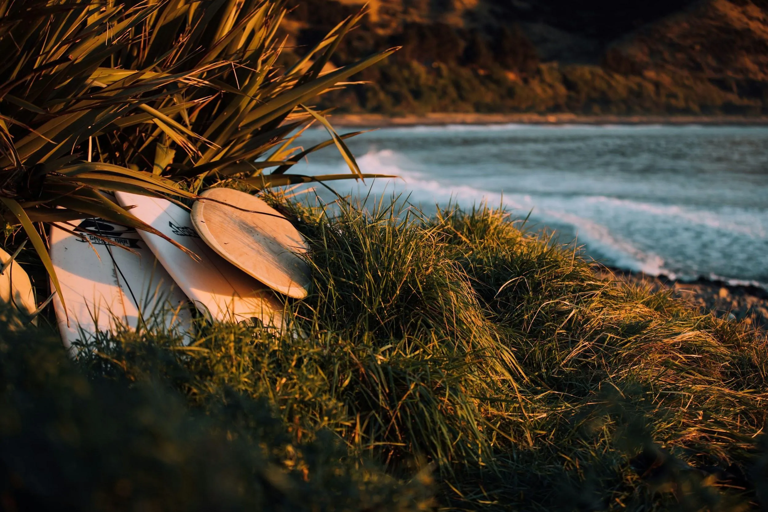 Surfboards on beach